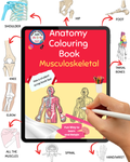 Digital Anatomy Colouring Book Musculoskeletal
