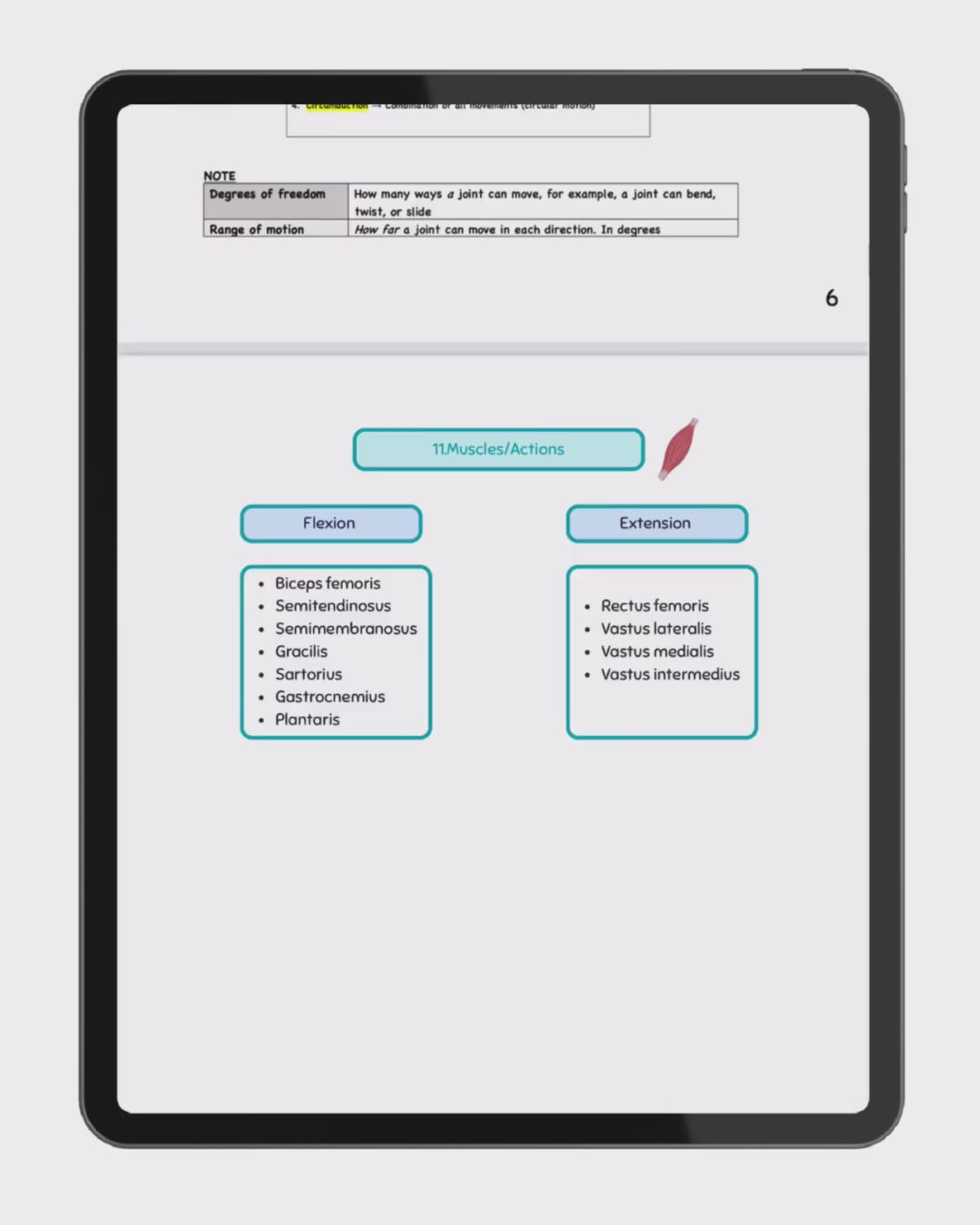 BUNDLE DEAL- 1&2 Year Digital Books