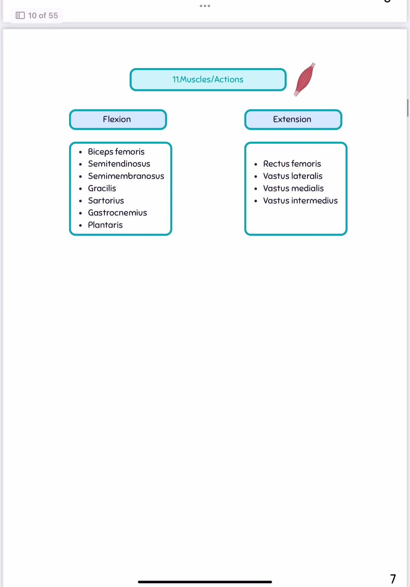 Digital-1st year MSK& ANATOMY bundle